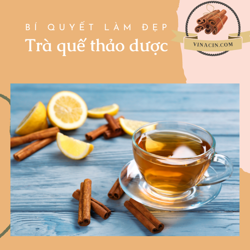 Trà Quế Thảo Dược Yên Bái 100g