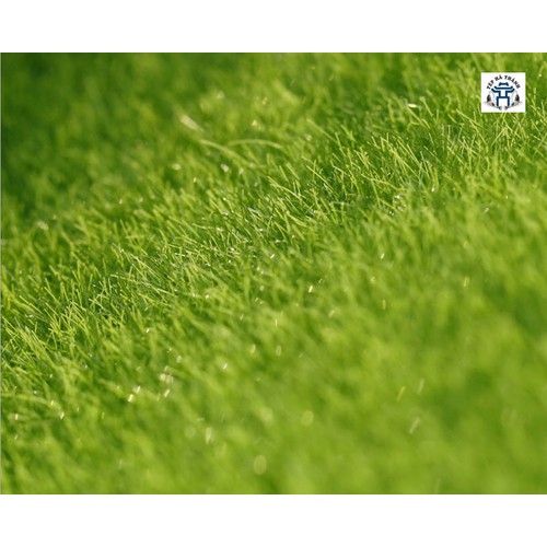 Thảm Cỏ Nhựa Trang Trí Bể Cá Cảnh, Bể Thủy Sinh