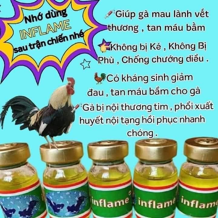 Hình ảnh [ĐT]  INFLAM TRI TANG THÁI cho gà đá chim cảnh Lọ 5cc