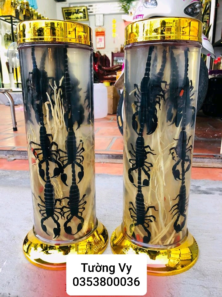 Bọ cạp 20 con