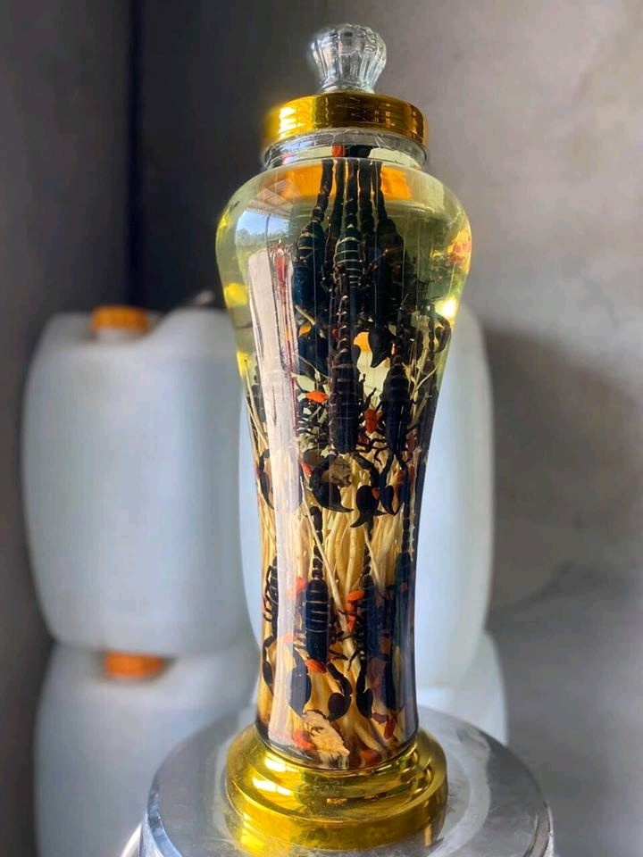 Bọ cạp 20 con