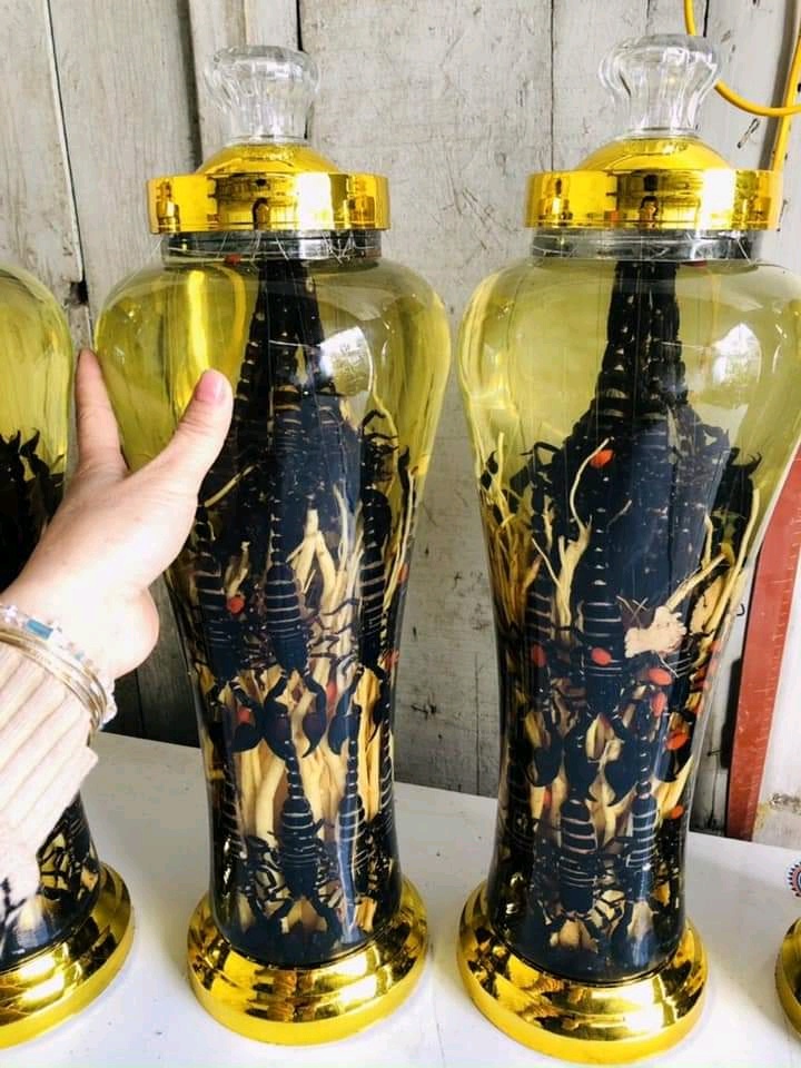 Bọ cạp 20 con