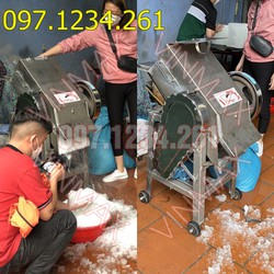 Máy bào đá cả cây X-D-304 tiện lợi, giá tốt, nhanh hơn chớp mua tại Phạm Văn Đồng