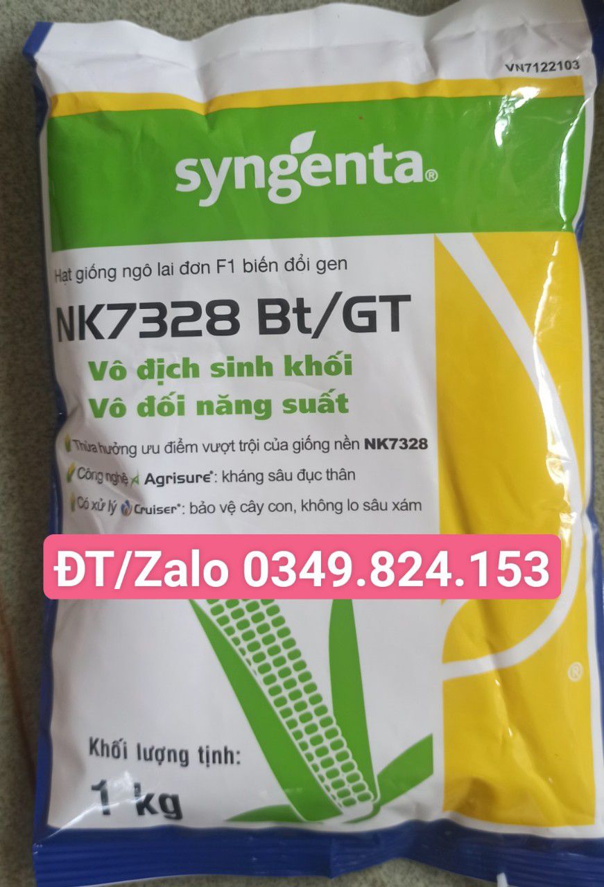 Hình ảnh HẠT GIỐNG BẮP LAI KHÁNG SÂU NK7328  Bt/GT 1KG - NGÔ LAI BIẾN ĐỔI GEN