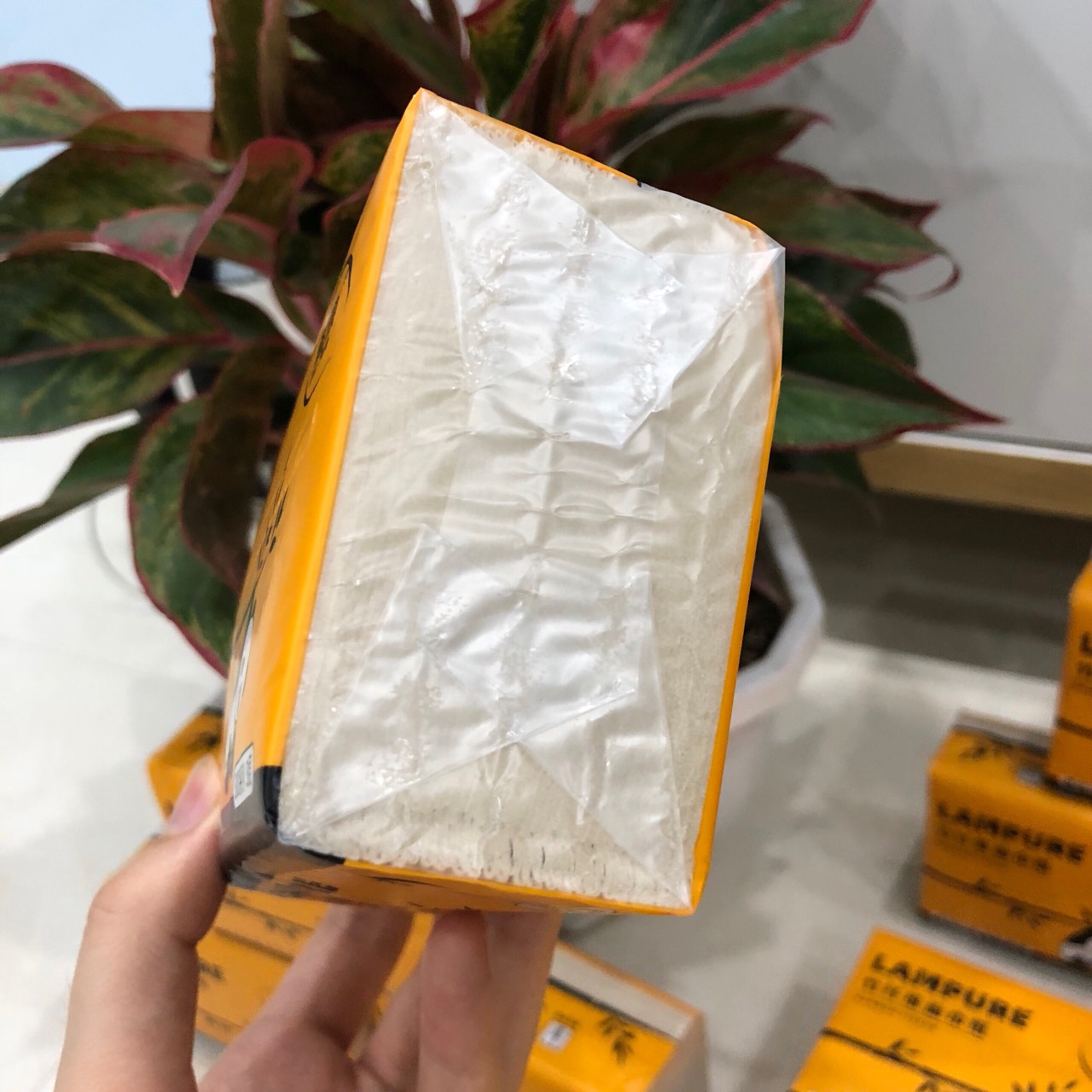 Hình ảnh Thùng 30 Gói Giấy Ăn Gấu Trúc Lampure hàng nội địa trung