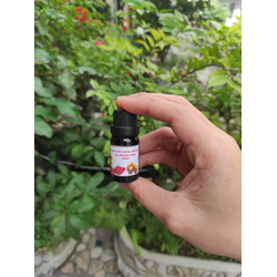 Chai Tinh Dầu Xông Phòng Hương Hoa Hồng Full Love 10ml