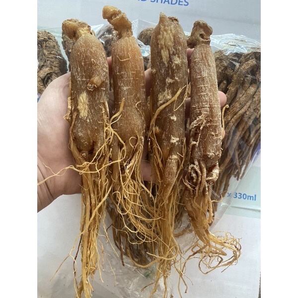 10g nhân sâm hồng sâm khô Hàn Quốc