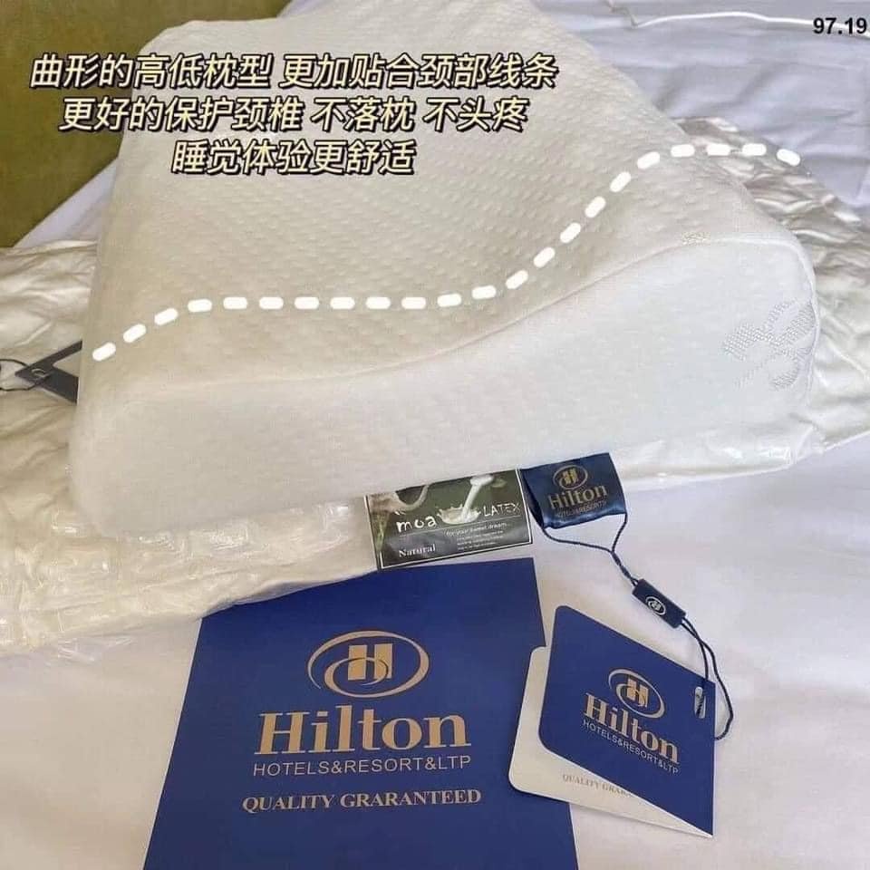Gối cao su non HINTON