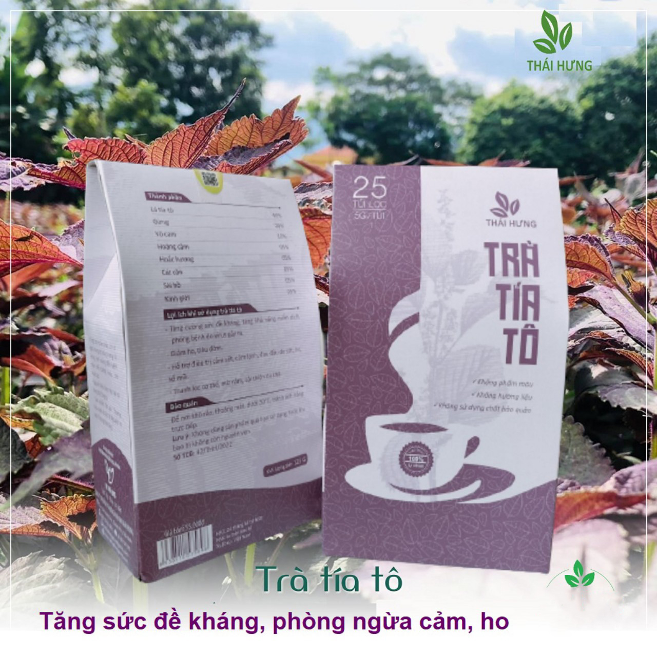 Hình ảnh [Chính hãng] Trà Tía tô Thái Hưng 25 túi lọc x 5g (125g) -  Tăng cường đề kháng, giảm ho, tiêu đờm, giải cảm, thanh lọc cơ thể, đẹp da