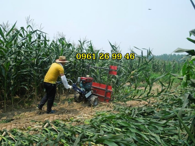 e80opudf3jYLhOC3mc69_simg_d0daf0_800x1200_max.jpg