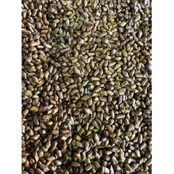 Hạt muồng 10kg