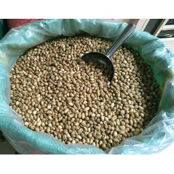 1 KG Nhân Cà phê sống Robusta