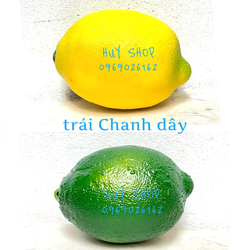 1 TRÁI CHANH DÂY nhân tạo trang trí - Trái cây giả