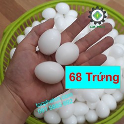 68 Quả Trứng Nhựa Bồ Câu Đẹp Và Bền