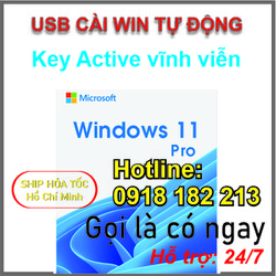 USB Cài Microsoft Windows 11 Pro (USB)