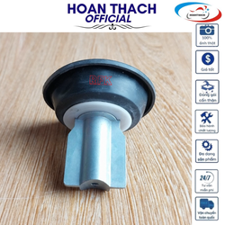 Bộ Trái Ga Xe Máy Piaggio Hoanthach