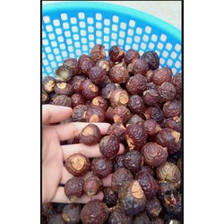 Bồ hòn khô tách hạt 1kg