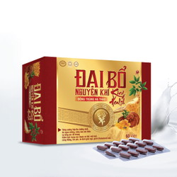 ĐẠI BỔ NGUYÊN KHÍ - Bồi bổ cơ thể