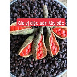 99k/100g hạt dổi nếp rừng Tây Bắc gia vị thơm ngon