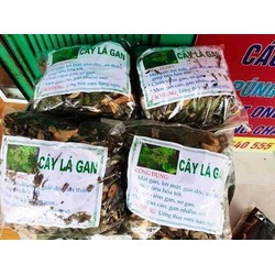 50k/1kg cây lá gan dân tộc tốt cho gan