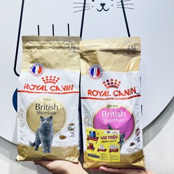 THỨC ĂN CHO MÈO ANH LÔNG NGẮN ROYAL CANIN BRITISH SHORTHAIR