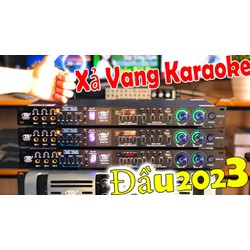 Vang Q800Plus Sẵn 8 Chế Độ hát Full Tính Năng
