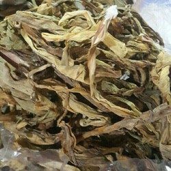 1kg lá khô cây trinh nữ hoàng cung (Tỏi tơi lá rộng hay Náng lá rộng) sạch,hàng làm thủ công từ cây vườn nhà trồng
