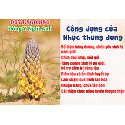 Nhục thung dung sấy dẻo loại 1 bổ thận tráng dương cường gân cốt, giảm đau nhức xương khớp gói 200gr