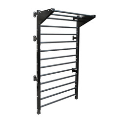 Thang gióng kết hợp xà đơn - Stall bars Pocorrys