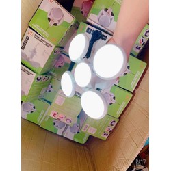 Bóng Đèn led tích điện năng lượng mặt trời 4 cánh 5 bóng hình trái banh, ánh sáng trắng, trang trí cây sân vườn, đèn dự phòng lúc cúp điện, đi chơi