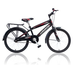 Xe đạp học sinh Wahama 2063 20 inch 3 màu