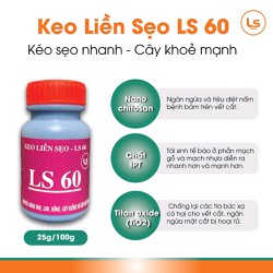 Keo liền sẹo nhanh LS60  hũ 25g/100gr