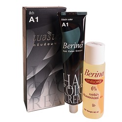 Chính hãng COMBO 2 HỘP Thuốc nhuộm tóc Berina Hair Color Cream 60ml ( A1 ĐEN)
