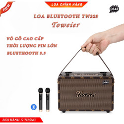 Loa Bluetooth Karaoke Toweier TW328, Âm thanh chất lượng cao, Kết nối Bluetooth 5.3, Công suất 10W*2 , 2 Micro không dây