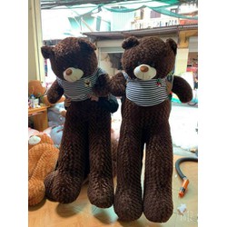 Gấu Teddy Mặc Áo Có Mác Đa Dạng Size Cực To