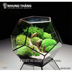 Bể Kính Terrarium Đa Giác TS-07 - Viền Hàn Kim Loại Chắc Chắn,Bền Bỉ Với Thời Gian - Trang Trí Bể Thủy Sinh Bán Cạn