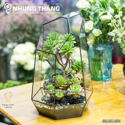 Bể Kính Terrarium TS-05,TS-06 - Viền Hàn Kim Loại Chắc Chắn,Bền Bỉ Với Thời Gian -Trang Trí Bể Thủy Sinh Bán Cạn