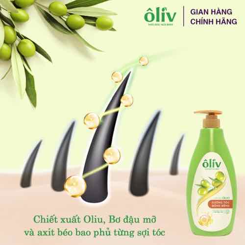 DẦU GỘI OLIV CHẮC KHỎE chai 650ML (Mã SP: DGOL)