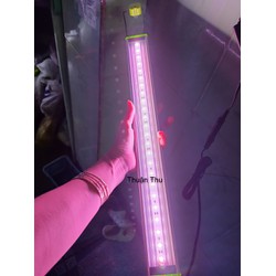 Đèn led máng đỏ cá không đỏ nước Aquatic Plant 4.8W cho bể 45-55cm