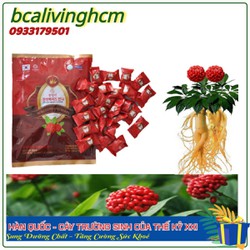 Kẹo Quả Sâm Hàn Quốc Haesong Vina bcalivinghcm không đường với tinh chất quả sâm có tác dụng thư giãn và lấy lại cân bằng tinh thần