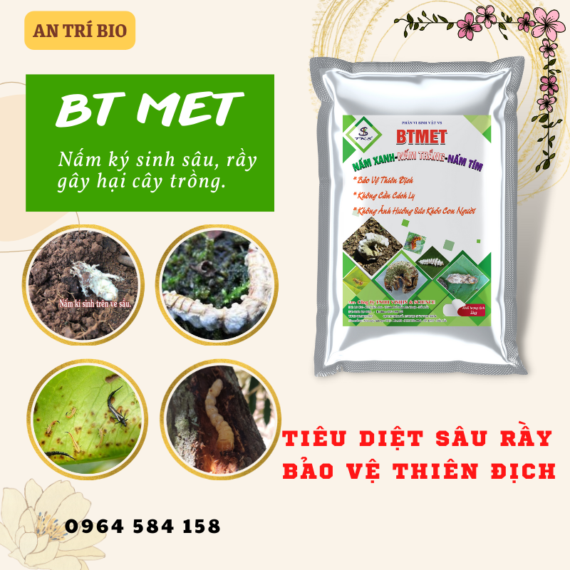 Hình ảnh Bộ đôi trừ sâu: BT MET (gói 1kg) + Siêu Thấm, Siêu Loang Trải (chai 50ml) - Trừ côn trùng, sâu, rầu hại cây trồng