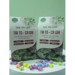 trà túi lọc tía tô cà gai