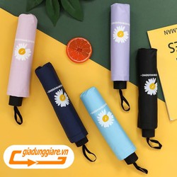 Ô hoa cúc, dù đi mưa, nắng, chống thấm nước chống tia UV hiệu quả