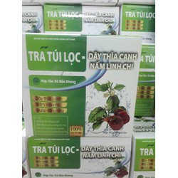 trà túi lọc dây thìa canh linh chi