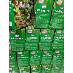 trà túi lọc cà gai leo