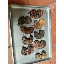 dạ dày nhím