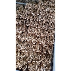 1kg sâm quy