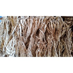 500g sâm quy