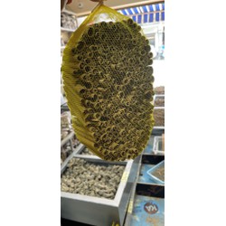 500g quế sáo