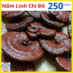 Nấm linh chi đỏ gói 250gram